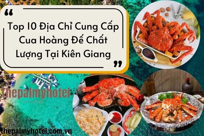 Top 10 Địa chỉ Cua Hoàng Đế Kiên Giang 2025 Tươi Ngon, Chất Lượng
