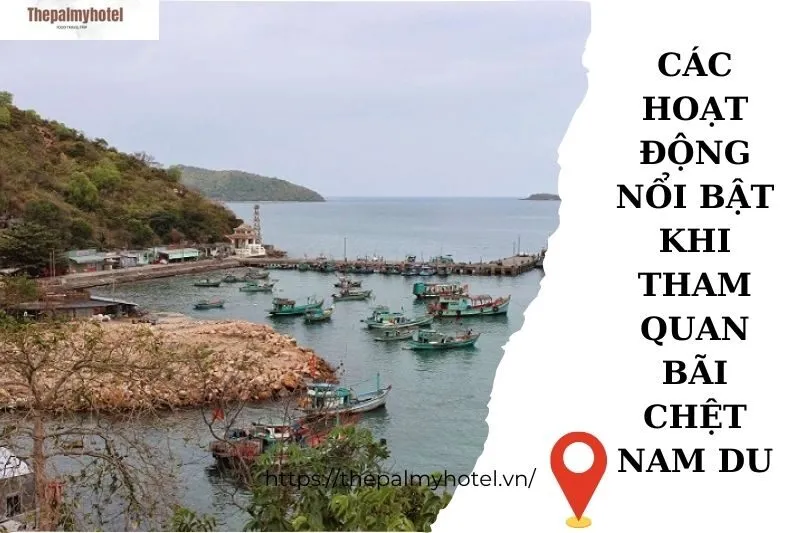 Các hoạt động nổi bật khi tham quan Bãi Chệt Nam Du