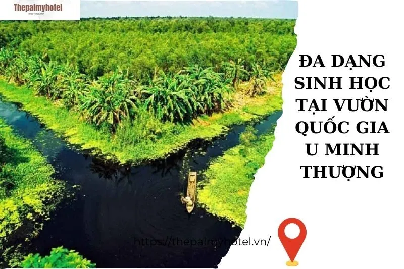 Đa dạng sinh học tại vườn quốc gia U Minh Thượng