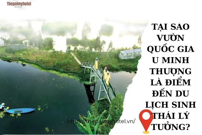 Tại sao vườn quốc gia U Minh Thượng là điểm đến du lịch sinh thái lý tưởng?