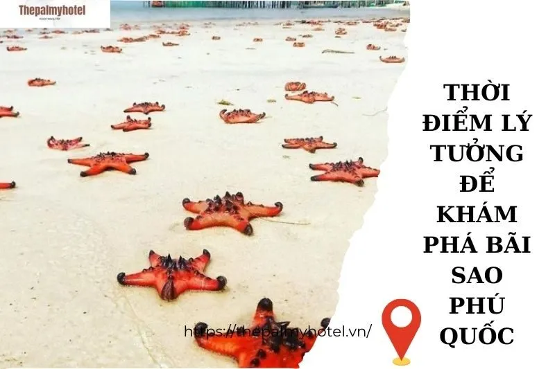 Thời điểm lý tưởng để khám phá Bãi Sao Phú Quốc