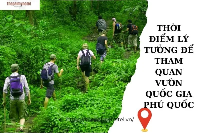 Thời điểm lý tưởng để tham quan vườn quốc gia Phú Quốc