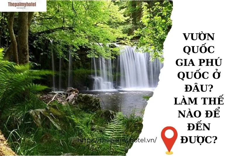 Vườn quốc gia Phú Quốc ở đâu? Làm thế nào để đến được?
