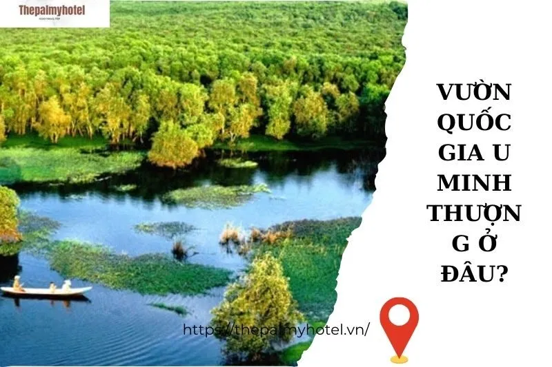 Vườn quốc gia U Minh Thượng ở đâu?