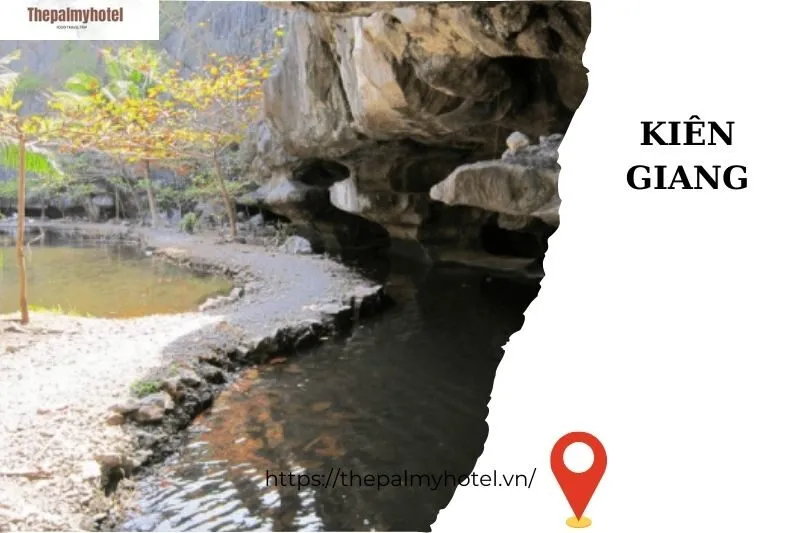 Khám Phá Vẻ Đẹp Thiên Nhiên trong Hang Moso