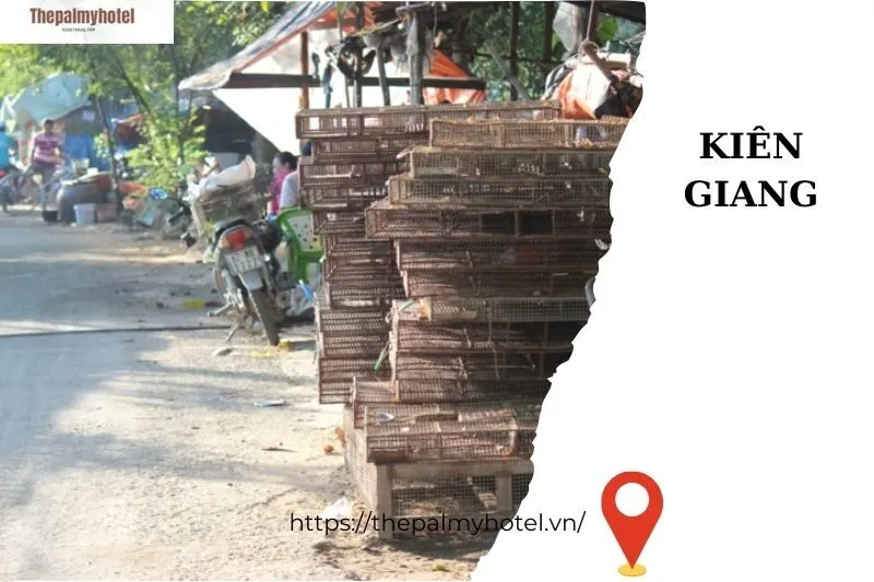 Lịch sử hình thành và phát triển của Chợ Chuột