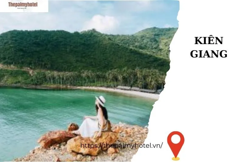 Tổng Hợp Các Hoạt Động Thú Vị Tại Bãi Cây Mến